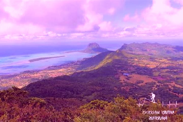 Escorts Roches Noire, Mauritius — Local Companions
