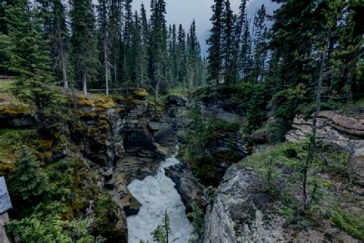 Escorts Rocky Ridge, Canada — Local Companions