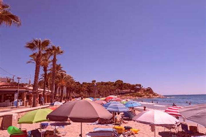 Escorts Roda de Bara, Spain — Local Companions