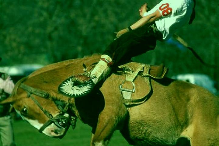 Escorts Rodeo, Argentina — Local Companions