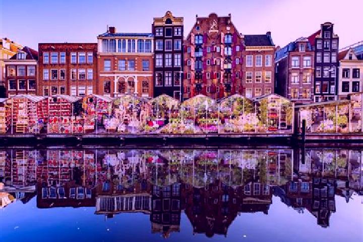 Escorts Roermond, Netherlands — Local Companions