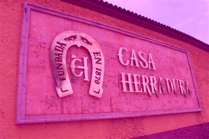 Escorts Romulo Calzada (La Herradura), Mexico — Local Companions