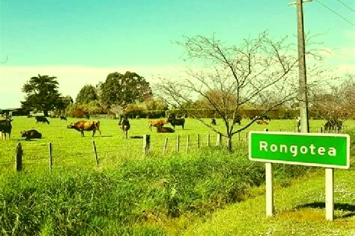 Escorts Rongotea, New Zealand — Local Companions
