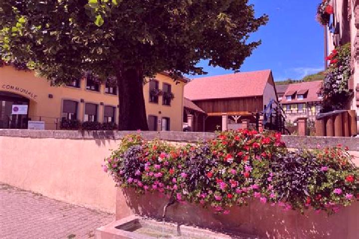Escorts Rosenwiller, France — Local Companions