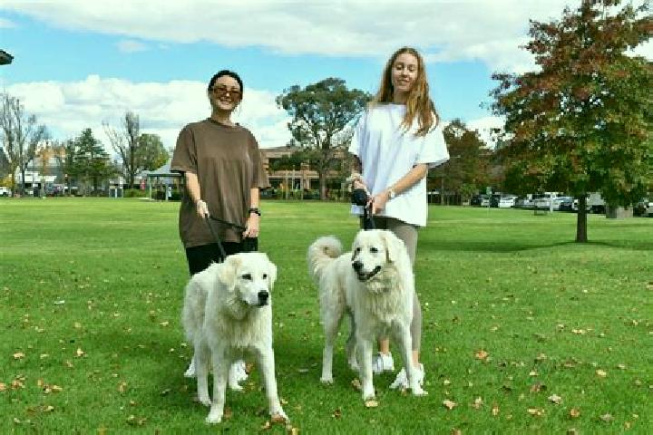 Escorts Rosewater, Australia — Local Companions