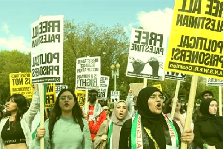 Escorts Rosh Zurim, Palestine — Local Companions