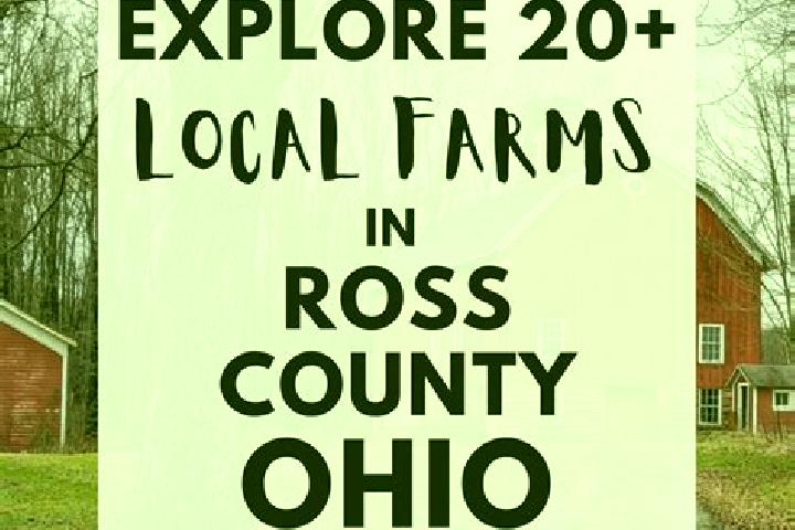 Escorts Ross , Belarus — Local Companions