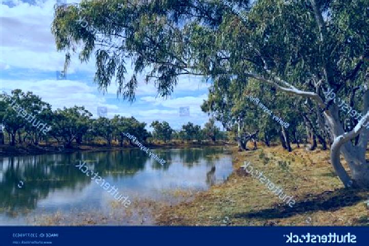 Escorts Ross Creek, Australia — Local Companions