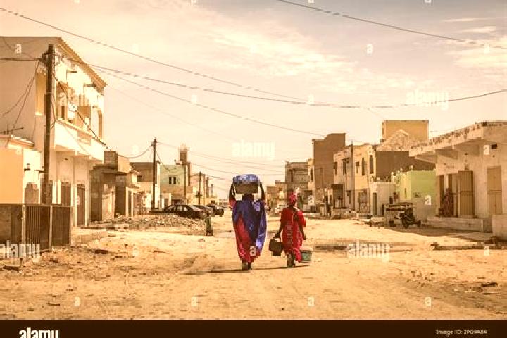 Escorts Rosso, Mauritania — Local Companions