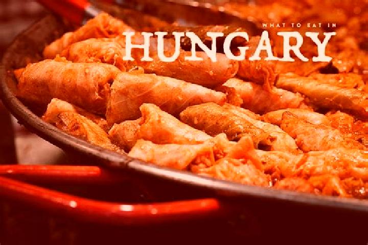 Escorts Roszke, Hungary — Local Companions