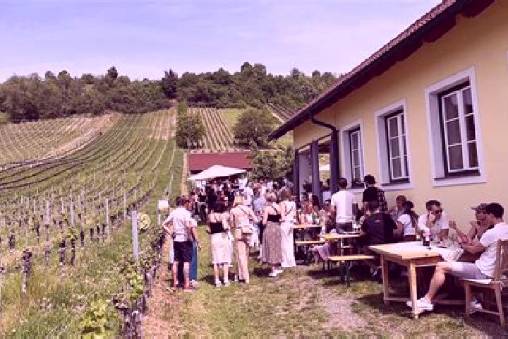 Escorts Rotenturm an der Pinka, Austria — Local Companions