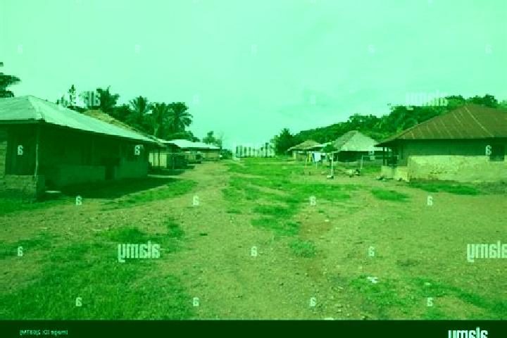 Escorts Rotifunk, Sierra Leone — Local Companions