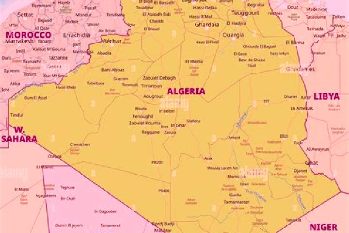 Escorts Rouached, Algeria — Local Companions