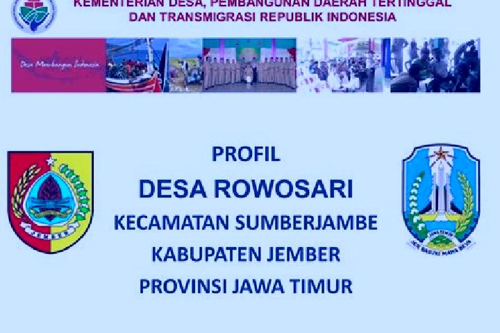 Escorts Rowosari, Indonesia — Local Companions