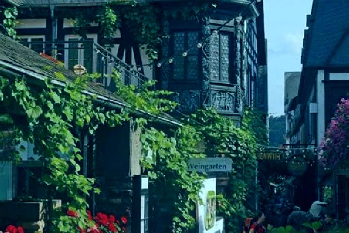 Escorts Rudesheim, Germany — Local Companions