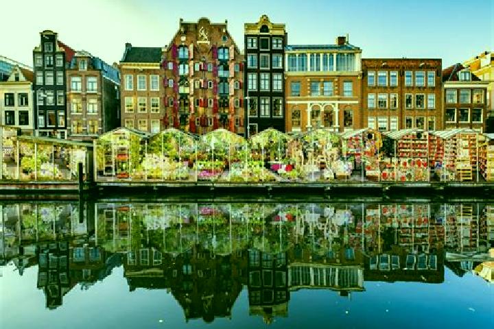 Escorts Ruinen, Netherlands — Local Companions