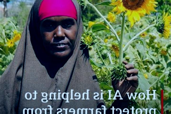 Escorts Ruqi, Somalia — Local Companions