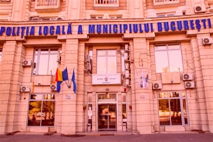Escorts Sacalusesti, Romania — Local Companions