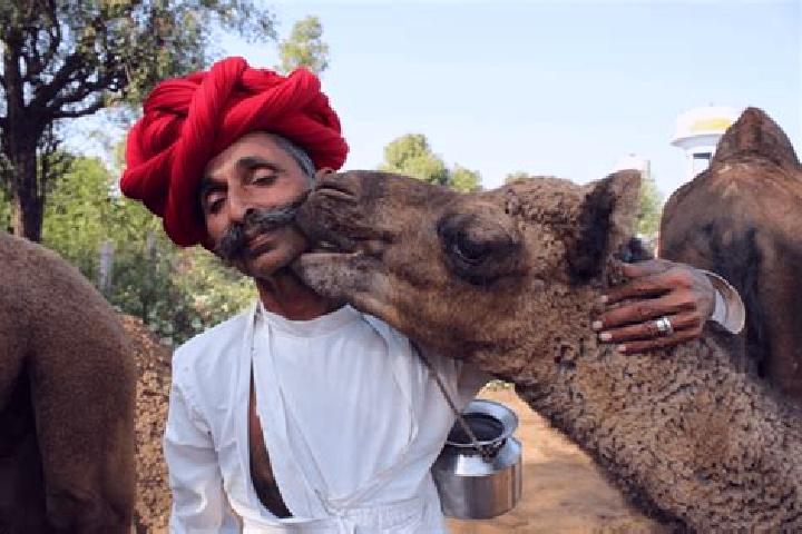 Escorts Sadri, India — Local Companions