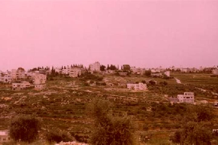 Escorts Saffa, Palestine — Local Companions