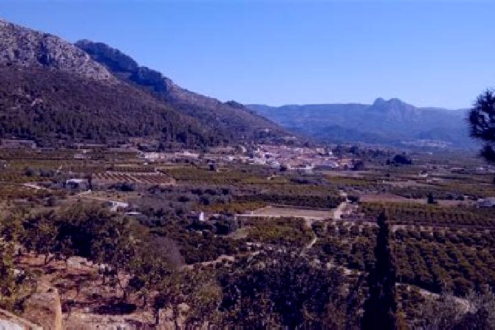 Escorts Sagra, Spain — Local Companions