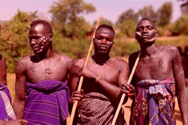 Escorts Sagure, Ethiopia — Local Companions