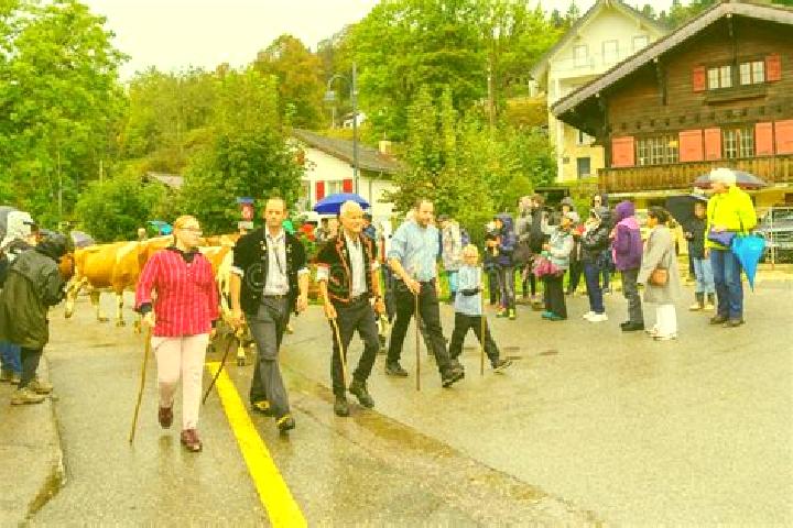 Escorts Saint-Cergue, Switzerland — Local Companions
