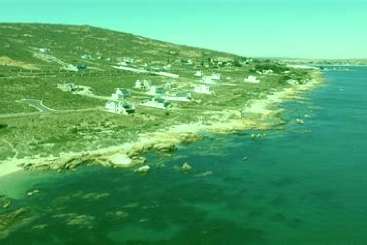 Escorts Saint Helena Bay, South Africa — Local Companions