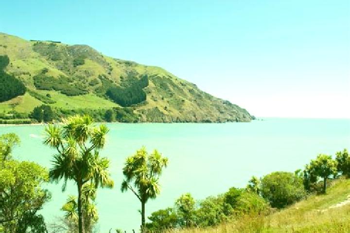 Escorts Saint Marys Bay, New Zealand — Local Companions