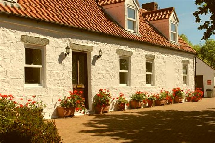 Escorts Saint Pierre du Bois Parish, Guernsey — Local Companions