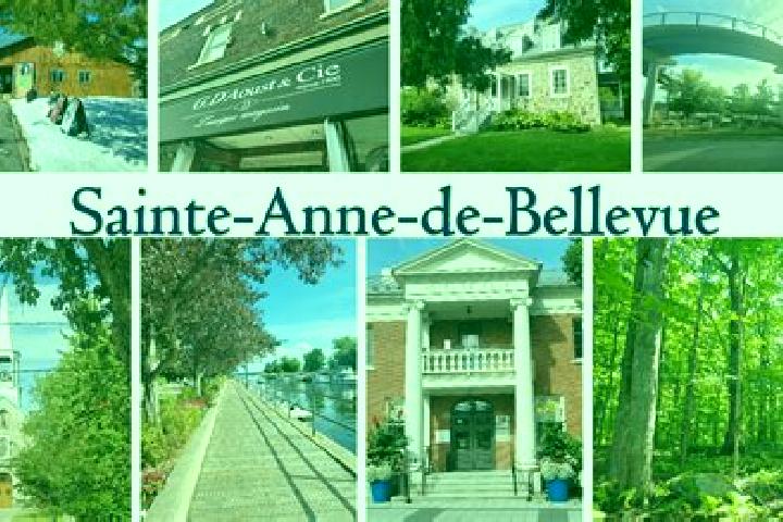 Escorts Sainte-Anne-de-Bellevue, Canada — Local Companions