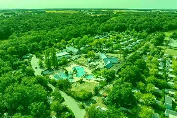Escorts Sainte-Catherine-de-Fierbois, France — Local Companions