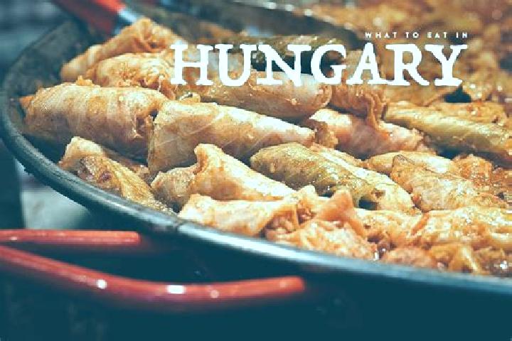 Escorts Sajokaza, Hungary — Local Companions