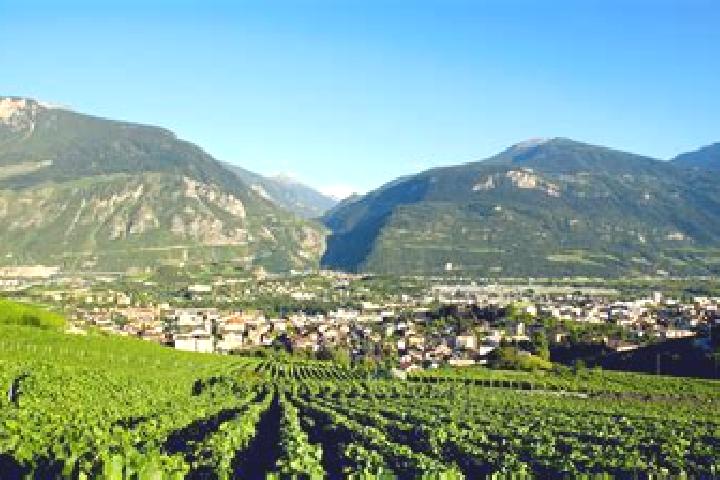 Escorts Salgesch, Switzerland — Local Companions