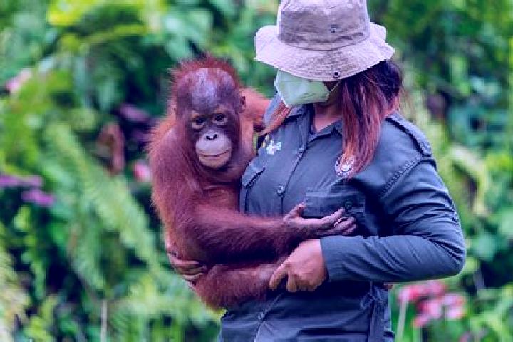 Escorts Samboja, Indonesia — Local Companions