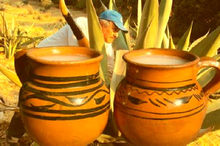 Escorts San Agustin del Pulque, Mexico — Local Companions