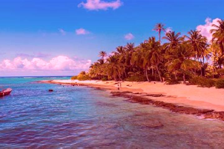 Escorts San Andres Cohamiata, Mexico — Local Companions