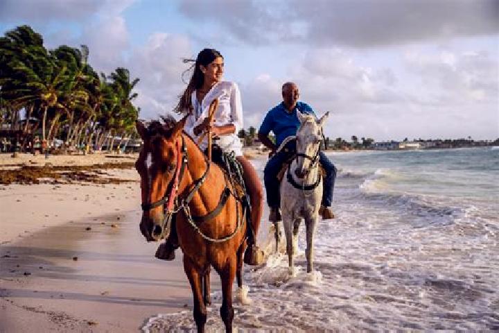 Escorts San Andres de la Cal, Mexico — Local Companions