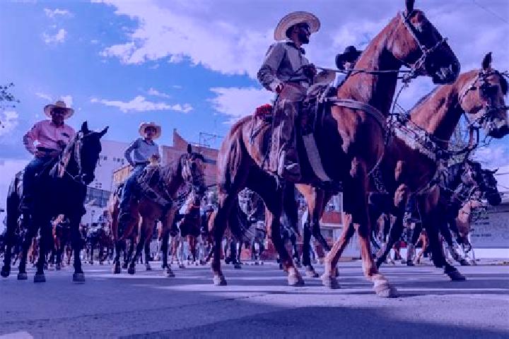 Escorts San Antonio Albarranes, Mexico — Local Companions