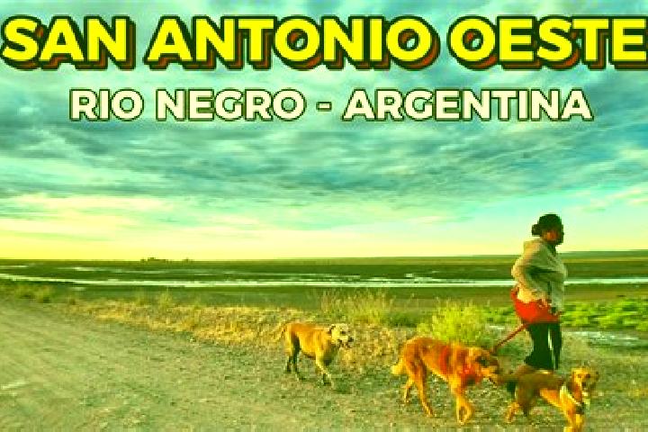 Escorts San Antonio Oeste, Argentina — Local Companions