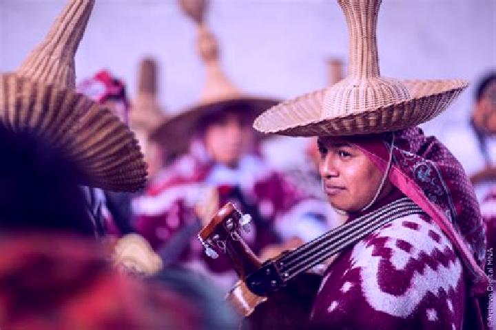 Escorts San Bartolome Ayautla, Mexico — Local Companions