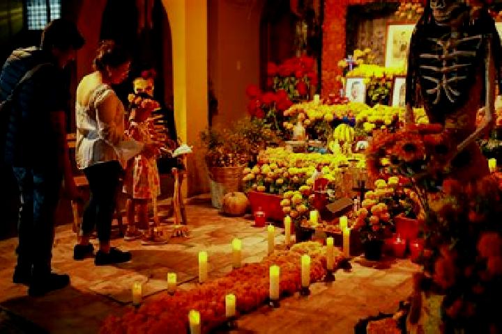 Escorts San Bartolome Tlaltelulco, Mexico — Local Companions