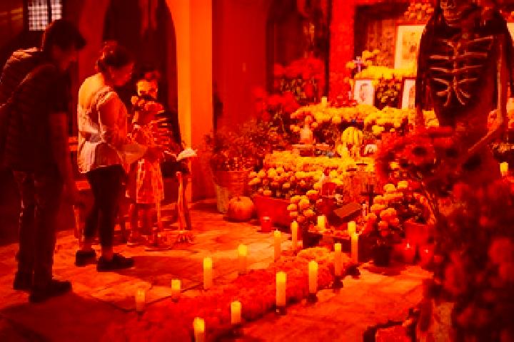 Escorts San Felipe Otlaltepec, Mexico — Local Companions