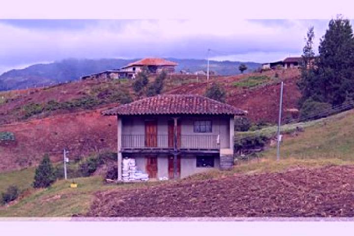 Escorts San Francisco de Natabuela, Ecuador — Local Companions
