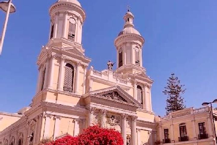 Escorts San Ignacio, Chile — Local Companions