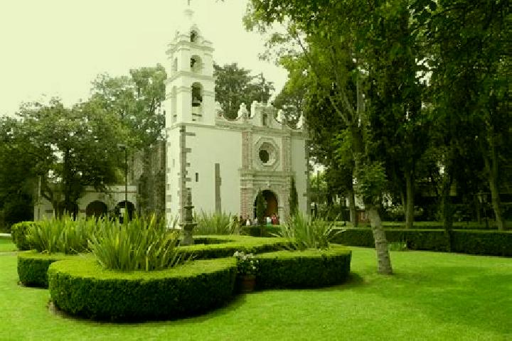 Escorts San Jeronimo, Mexico — Local Companions