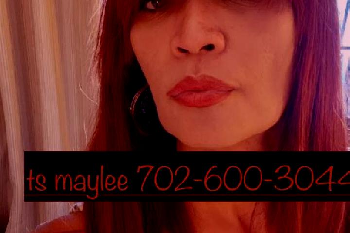 Escorts San Jose el Nuevo, Mexico — Local Companions