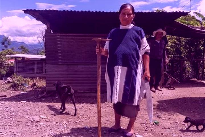 Escorts San Juan Cancuc, Mexico — Local Companions