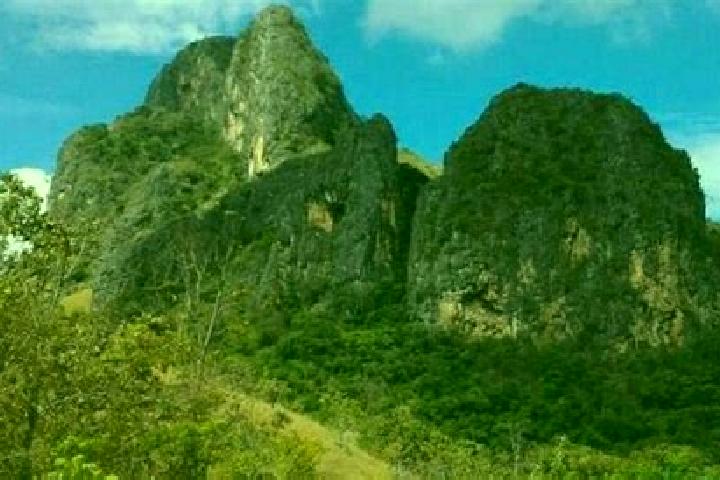 Escorts San Juan de los Morros, Venezuela — Local Companions