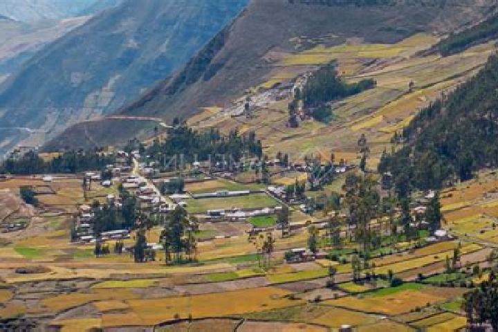 Escorts San Juan de Rontoy, Peru — Local Companions